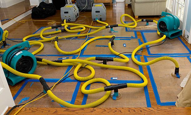 Professional Burst Pipe Water Damage technician working in Fairview, OH